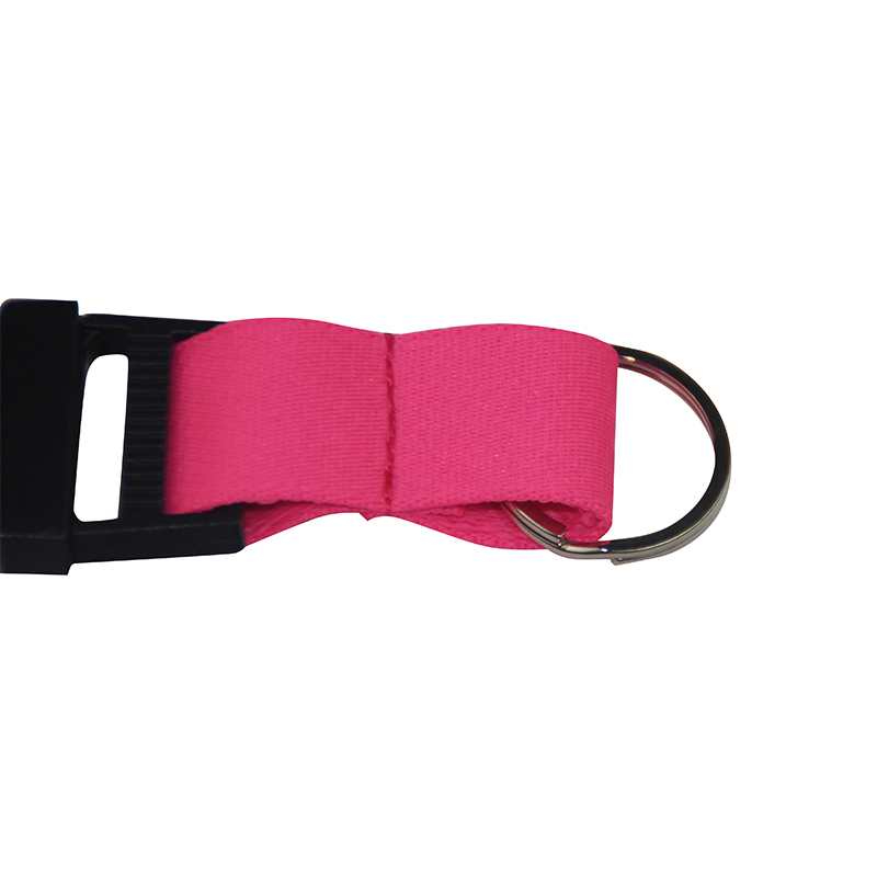 Vestibulum texta Polyester Lanyard ad Card